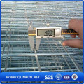 Welded Wire Mesh in Low Price